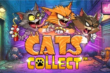 Cats Collect Demo Slot