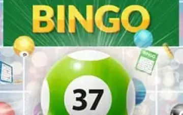 Bingo 37 Ticket Demo