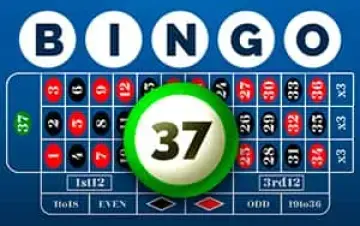 Bingo 37 Demo