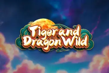 Tiger and Dragon Wild Demo Slot