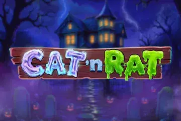 Cat 'n Rat Demo Slot
